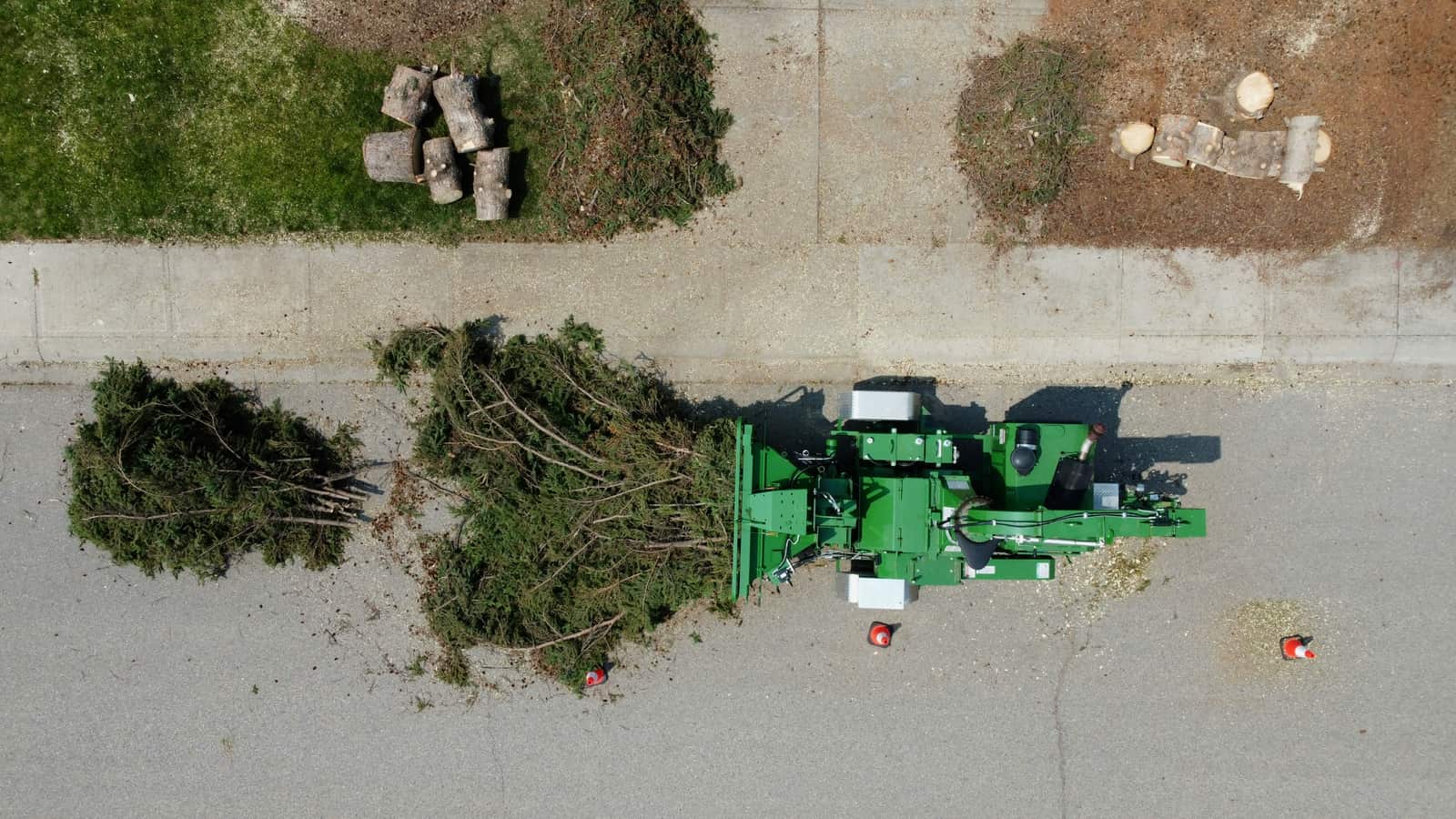 Stump Grinding Columbia SC